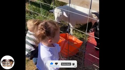 Animals Trolling Kids At Zoo 3 - Try Not To Laugh Funny Animal 2021 | Pet Squad