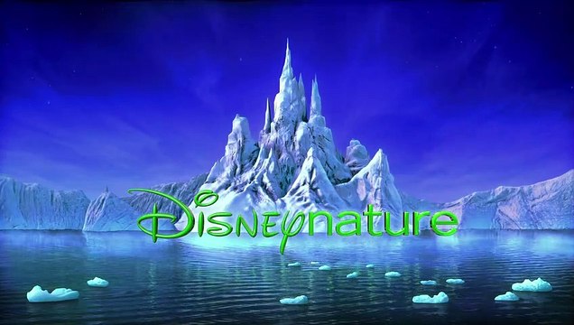 Chimpanzés (2013) - Bande annonce