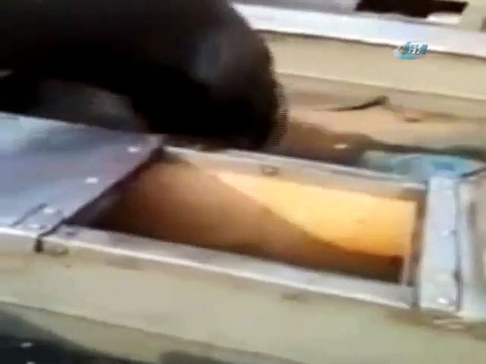 Teknede sürpriz misafir
