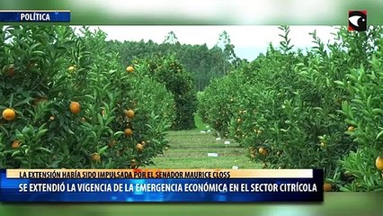Se extendió la vigencia de la emergencia económica en el sector citrícola