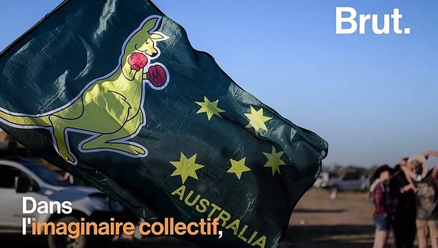 Comment les kangourous se battent