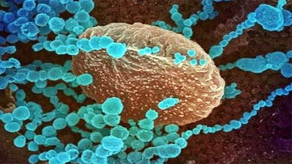 Corona Delta Plus Variant Body के इन Parts पर कर रहा है हमला | Boldsky