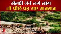 Uttarakhand : हाथियों के झुंड को देख सेल्फी लेने लगे लोग तो पीछे पड़ गए गजराज, वीडियो