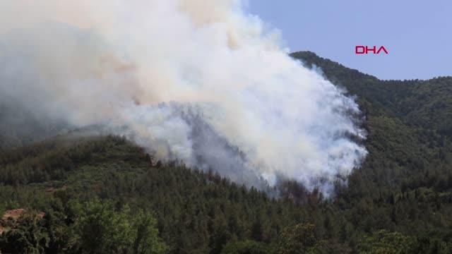 Son dakika haberi... DENİZLİ'DE YERLEŞİM YERLERİ YAKININDA ORMAN YANGINI -1