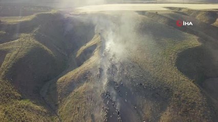Sürülerin tozlu yolculuğu böyle görüntülendi
