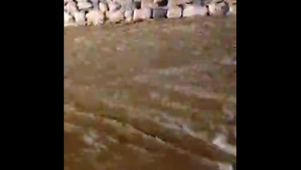 Puy-de-Dôme: un habitant filme l'impressionnante coulée de boue au pied de sa maison à Sauvagnat-Sainte-Marthe