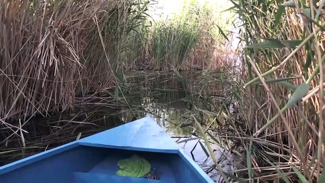 KAYSERİ - Mavi ile yeşilin buluştuğu Orta Anadolu'nun kuş cenneti ziyaretçilerini ağırlıyor
