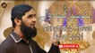 Ay Sabz Gumbad Waly | HD Video Naat | Muhammad Ameen Raza Qadri