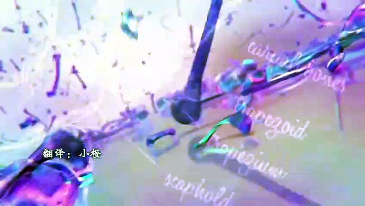 日劇 » 櫻子小姐的腳下埋著屍體 真人版09
