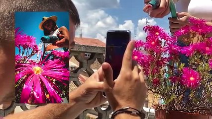 5 MOBILE PHOTOGRAPHY IDEAS AT HOME