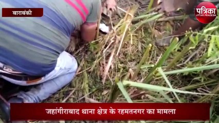 तालाब में निकले मगरमच्छ का रेस्क्यू LIVE