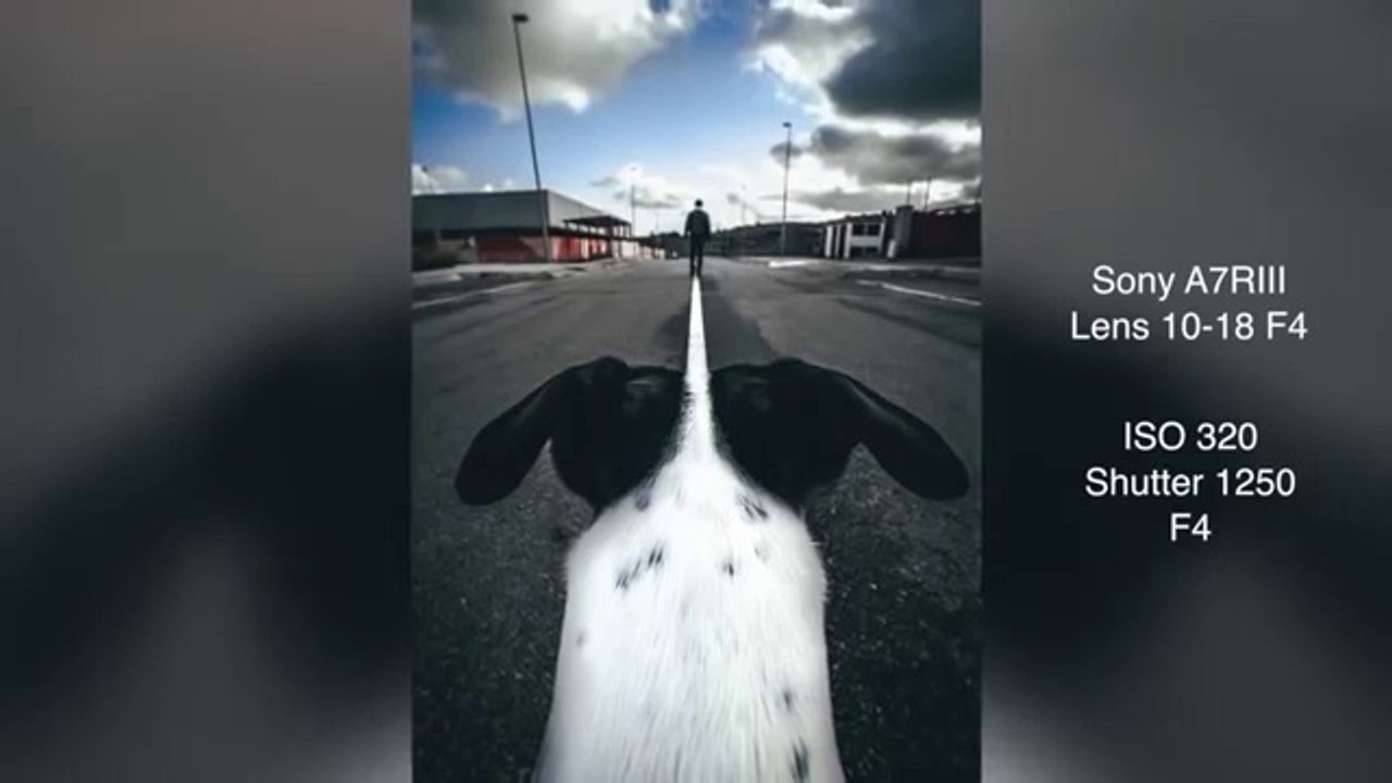 TIKTOK TRENDING PHOTOGRAPHY