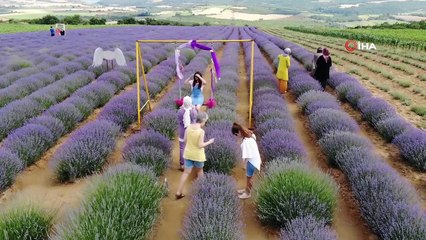 İstanbul’un stresinden kaçan soluğu burada alıyor: Tarla sahibi “Stresle gelmesinler”