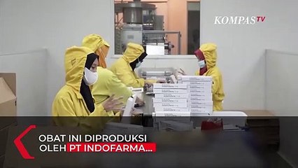 Erick Thohir Kenalkan Ivermectin, Obat Anti Parasit untuk Terapi Covid-19