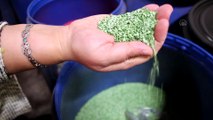 KONYA - ÜRETİMDEN İHRACATA TARIM - Bir firmanın ıslah ederek ürettirdiği tohumlar 20 ülkeye satılıyor