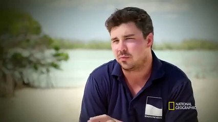 قرش قالب الكعيكة: قرش صغير الحجم يهاجم أغلب المخلوقات البحرية بشراسة