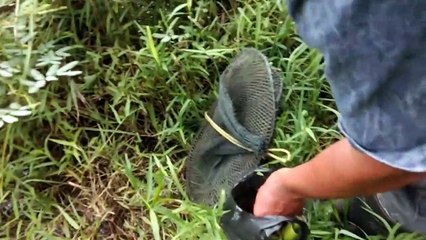 Mancing di tmnin mantan pacar Ep.1