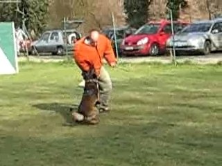 Ray-Ban des Plaines de Thiérache