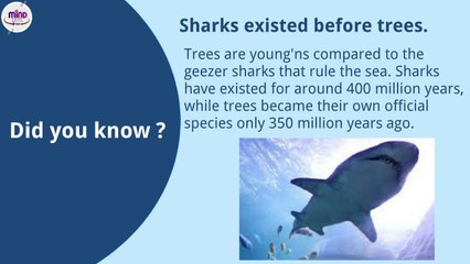 Did you know | Random Facts | So Interesting (Part 3) mindlevel360