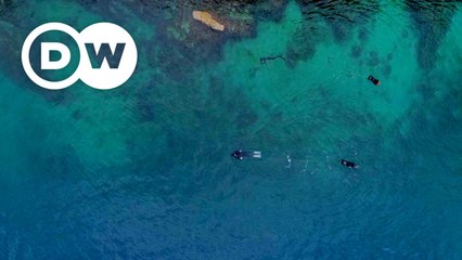 ಹೊಸ ಹವ್ಯಾಸಕ್ಕಾಗಿ ಹುಡುಕುತ್ತಿರುವಿರಾ  Seatrekking – Hiking on Land and Diving Under Water
