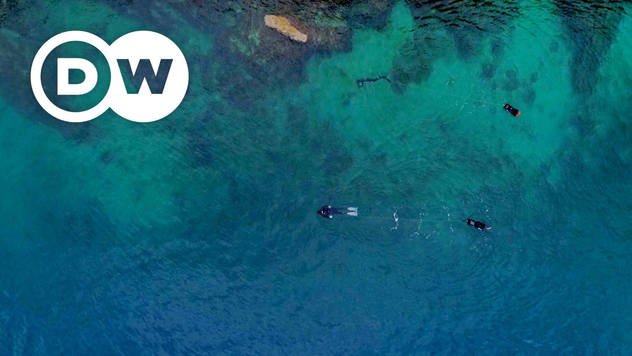 ಹೊಸ ಹವ್ಯಾಸಕ್ಕಾಗಿ ಹುಡುಕುತ್ತಿರುವಿರಾ  Seatrekking – Hiking on Land and Diving Under Water