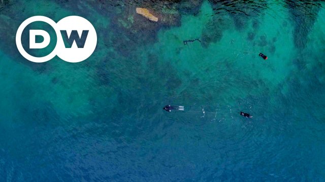 ಹೊಸ ಹವ್ಯಾಸಕ್ಕಾಗಿ ಹುಡುಕುತ್ತಿರುವಿರಾ Seatrekking – Hiking on Land and Diving Under Water
