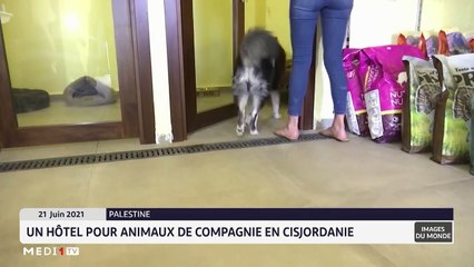 Images du Monde - 22/06/2021