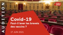 Levée des brevets sur les vaccins : remède ou placebo ?