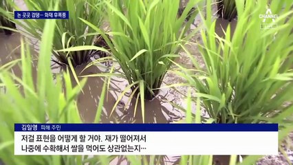 쿠팡 화재로 논밭 뒤덮은 검댕…물고기도 떼죽음