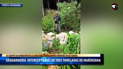 Gendarmería  interceptó más de tres toneladas de marihuana