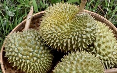 เรื่องพลบค่ำ ช่วงที่ 1 วันอังคารที่ 22 มิ.ย.64