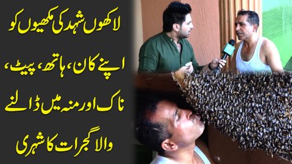 Lakhon Shehad ki makhiyon ko apne kaan, hath, pait, naak aur munh mei dalnay wala Gujrat ka Shehri..