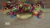 Potato Vs Rubber Bands | Latest Experiment Challenge Video | Ideas Therapy