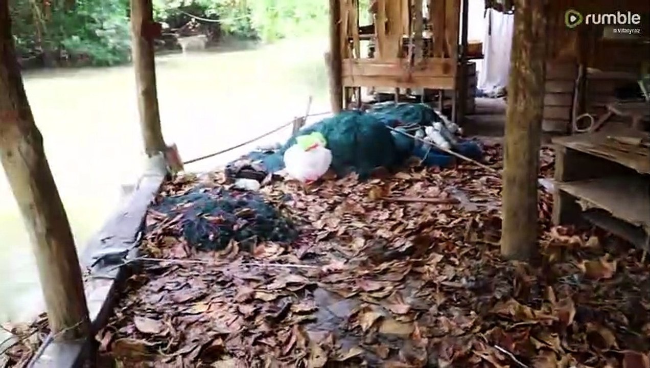 Feeding giant monitor lizard with drone |ViralHog