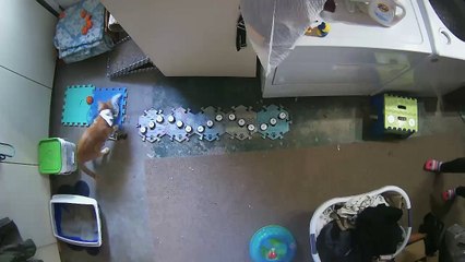 Stinky Cat Gets Gives Sarcastic Response