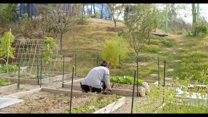 La mujer que escapó - Tráiler oficial VOSE