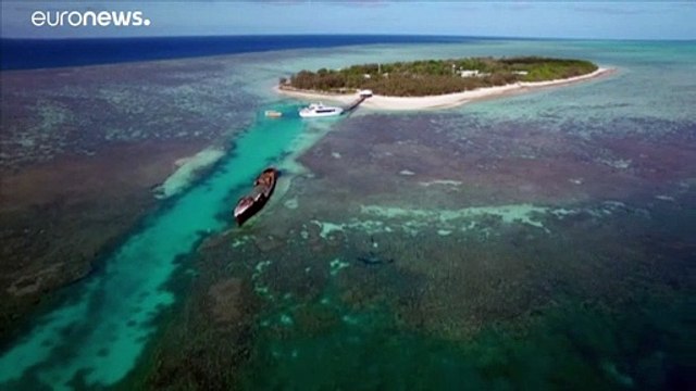 Great Barrier Reef: Australien entrüstet sich über Unesco-Empfehlung