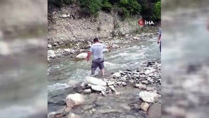 Çayda mahsur kalan köpeği YEDAŞ personeli kurtardı