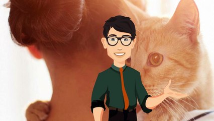 Cremano il gatto, ma questo si ripresenta alla porta di casa