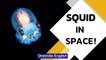 NASA sends squid in ISS to conduct study to improve astronauts' immune systems | Oneindia News