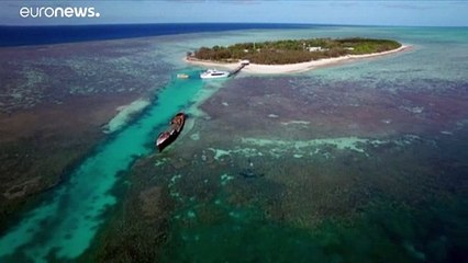 Unesco considera desclassificar Grande Barreira de Coral como Património Mundial