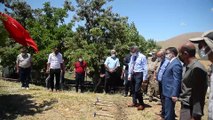 TUNCELİ - 'Tozkoparan Höyüğü'nde arkeolojik kazı çalışmaları başladı