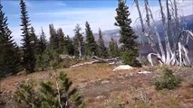 Un touriste découvre une chèvre sauvage en pleine sieste au sommet d'une montagne