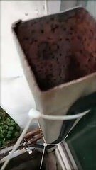 Ce qui se trouve dans ce tuyau va vous faire froid dans le dos