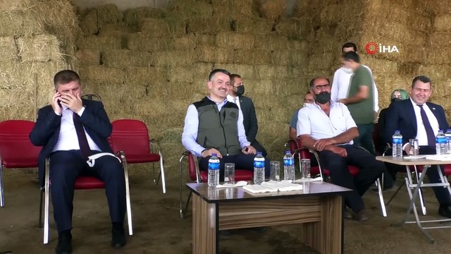Tarım ve Orman Bakanı Pakdemirli’den yem fiyatlarına ilişkin açıklama