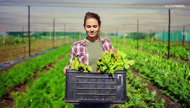 Qual a diferença entre Consumir até e Consumir antes de ? Os europeus têm muitas dúvidas