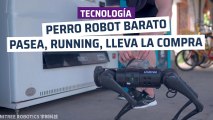 [CH] El perro robot más barato