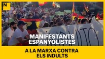 Manifestants espanyolistes a la marxa contra els indults