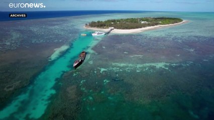 Australie : la Grande Barrière de corail "en danger", selon l'Unesco