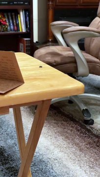 Salt Gun Fully Sends Fly